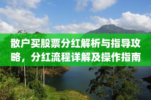 散户买股票分红解析与指导攻略，分红流程详解及操作指南
