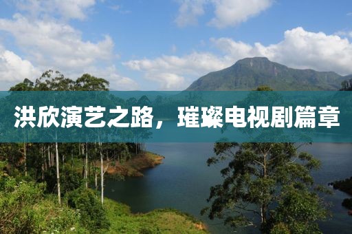 洪欣演艺之路，璀璨电视剧篇章