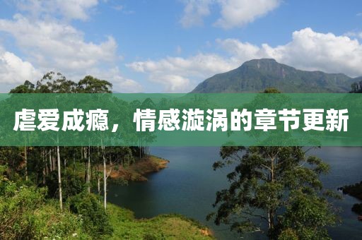 虐爱成瘾，情感漩涡的章节更新