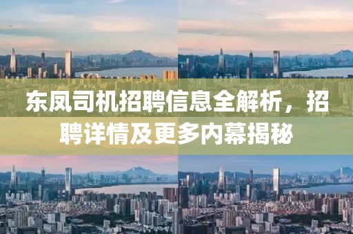东凤司机招聘信息全解析，招聘详情及更多内幕揭秘