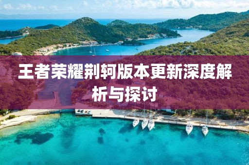 王者荣耀荆轲版本更新深度解析与探讨