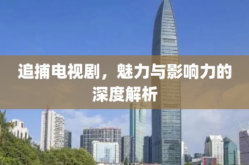 追捕电视剧，魅力与影响力的深度解析