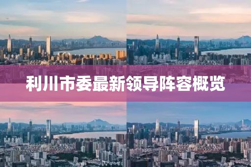 利川市委最新领导阵容概览