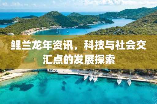 鲤兰龙年资讯，科技与社会交汇点的发展探索