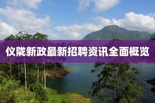 仪陇新政最新招聘资讯全面概览