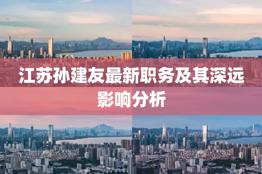 江苏孙建友最新职务及其深远影响分析