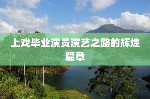 上戏毕业演员演艺之路的辉煌篇章