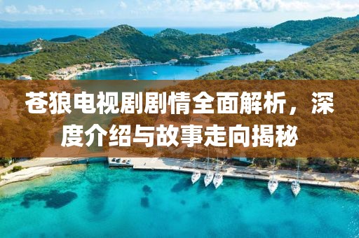 苍狼电视剧剧情全面解析，深度介绍与故事走向揭秘