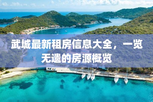 武城最新租房信息大全，一览无遗的房源概览