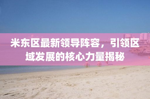 米东区最新领导阵容，引领区域发展的核心力量揭秘