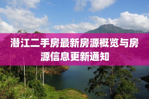 最努力的备胎 第21页