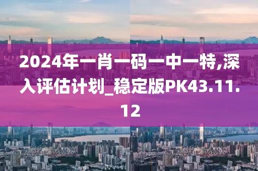 2024年一肖一码一中一特,深入评估计划_稳定版PK43.11.12