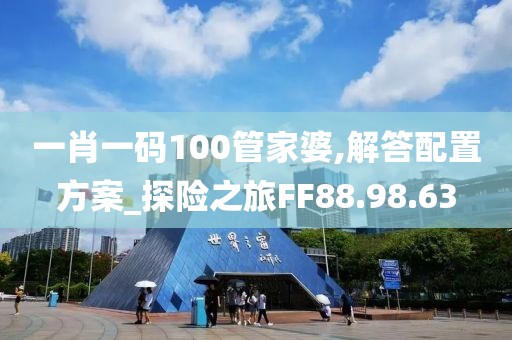 一肖一码100管家婆,解答配置方案_探险之旅FF88.98.63