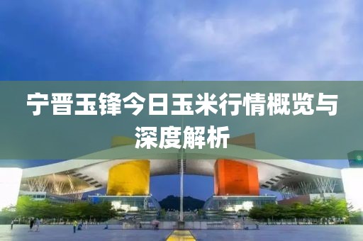 宁晋玉锋今日玉米行情概览与深度解析