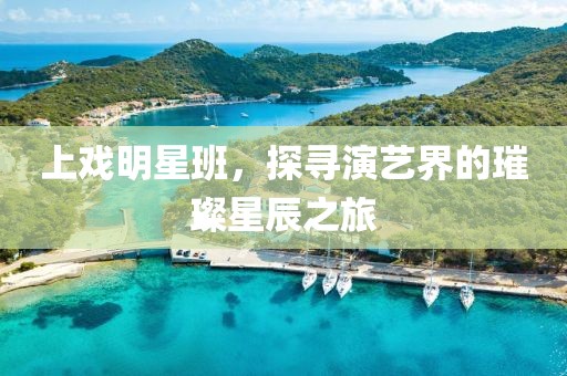 上戏明星班，探寻演艺界的璀璨星辰之旅