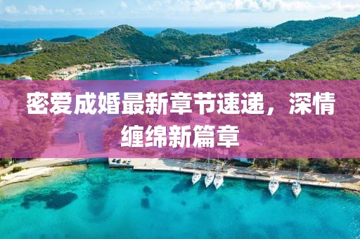 密爱成婚最新章节速递，深情缠绵新篇章