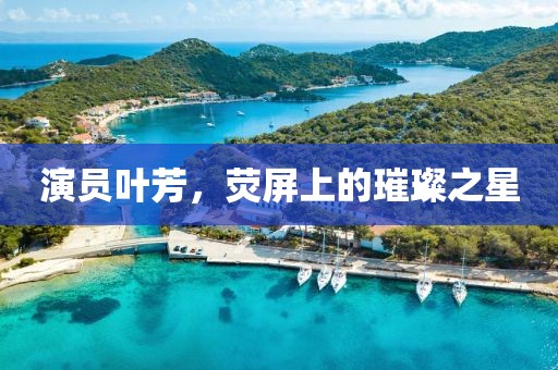 演员叶芳，荧屏上的璀璨之星