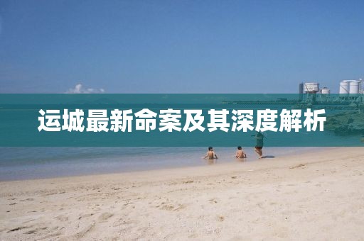 运城最新命案及其深度解析