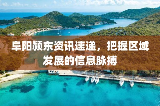 阜阳颍东资讯速递，把握区域发展的信息脉搏