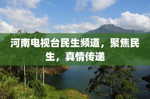 河南电视台民生频道，聚焦民生，真情传递