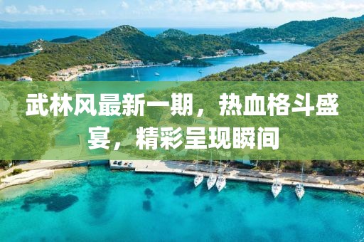 武林风最新一期，热血格斗盛宴，精彩呈现瞬间