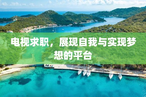 电视求职，展现自我与实现梦想的平台