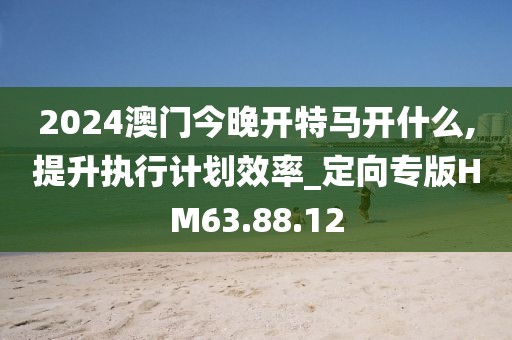2024澳门今晚开特马开什么,提升执行计划效率_定向专版HM63.88.12