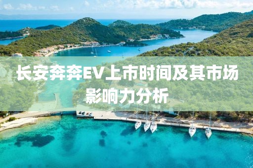 长安奔奔EV上市时间及其市场影响力分析