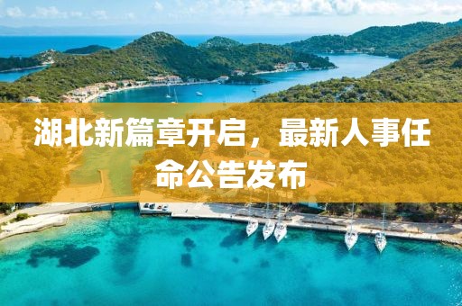 湖北新篇章开启，最新人事任命公告发布