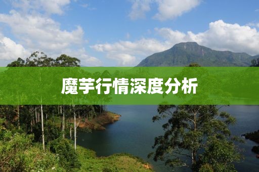 魔芋行情深度分析