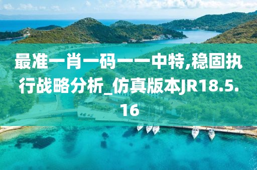 最准一肖一码一一中特,稳固执行战略分析_仿真版本JR18.5.16
