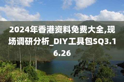 2024年香港资料免费大全,现场调研分析_DIY工具包SQ3.16.26
