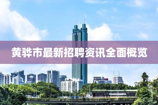 黄骅市最新招聘资讯全面概览