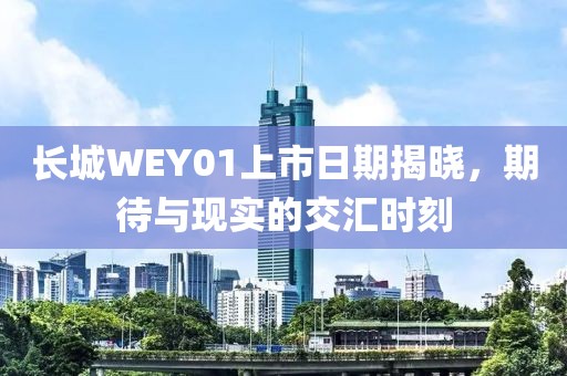 长城WEY01上市日期揭晓，期待与现实的交汇时刻