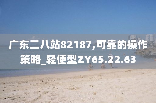 广东二八站82187,可靠的操作策略_轻便型ZY65.22.63