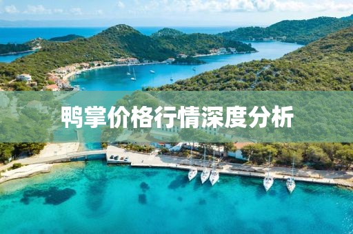 鸭掌价格行情深度分析