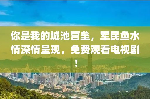你是我的城池营垒，军民鱼水情深情呈现，免费观看电视剧！