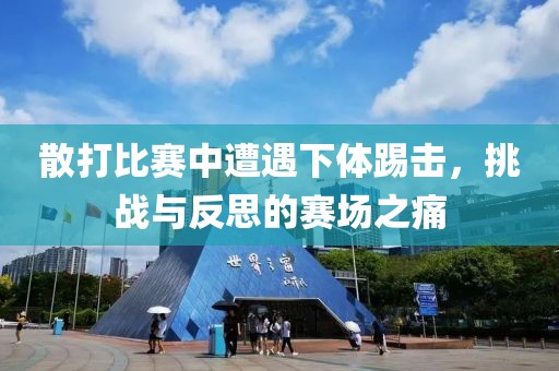 散打比赛中遭遇下体踢击，挑战与反思的赛场之痛