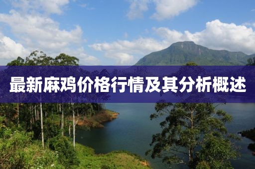 最新麻鸡价格行情及其分析概述