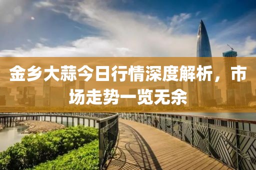 金乡大蒜今日行情深度解析，市场走势一览无余