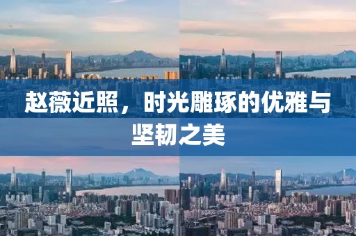 赵薇近照，时光雕琢的优雅与坚韧之美