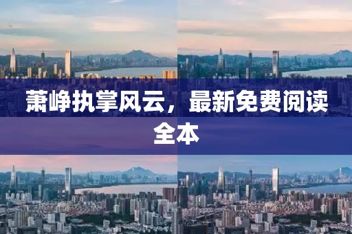 萧峥执掌风云，最新免费阅读全本
