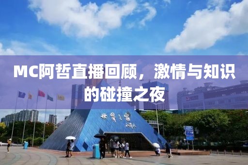 浪迹天涯 第20页