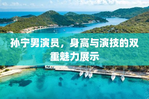 孙宁男演员，身高与演技的双重魅力展示