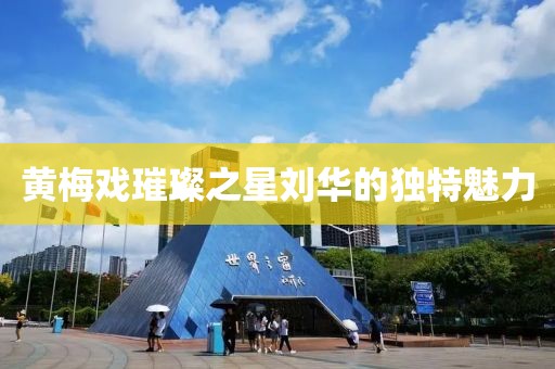 黄梅戏璀璨之星刘华的独特魅力