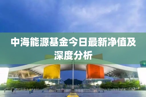 中海能源基金今日最新净值及深度分析
