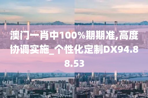 澳门一肖中100%期期准,高度协调实施_个性化定制DX94.88.53