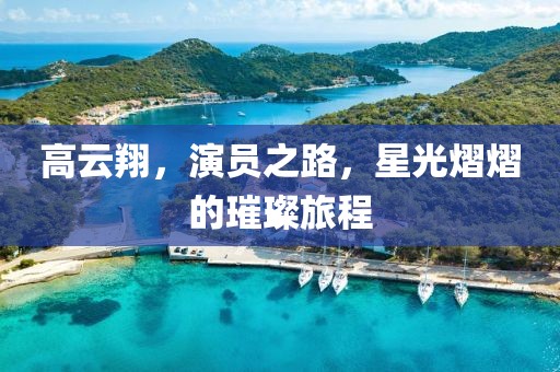 高云翔，演员之路，星光熠熠的璀璨旅程