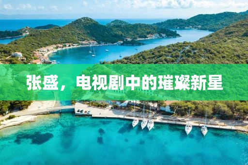 张盛，电视剧中的璀璨新星