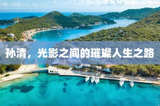 孙清，光影之间的璀璨人生之路